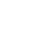 LSI Service logo